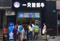 在成都开家一只酸奶牛加盟店怎么样？